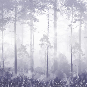 Carta da parati La foresta nella nebbia
