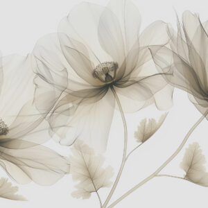Carta da parati Fiore marrone trasparente in stile raggi X su sfondo bianco Design botanico monocromatico minimalista