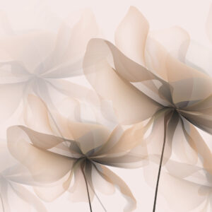 Carta da parati Grandi fiori beige traslucidi