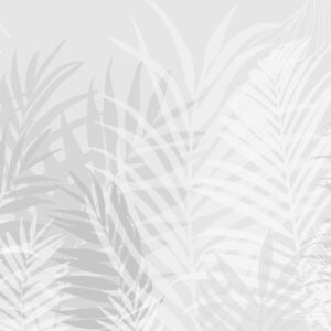 Carta da parati Foglie tropicali di tendenza di colore grigio