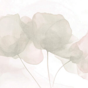 Carta da parati Bellissimi fiori, colori pastello tenui, minimalismo, naturale, rustico, beige e rosa
