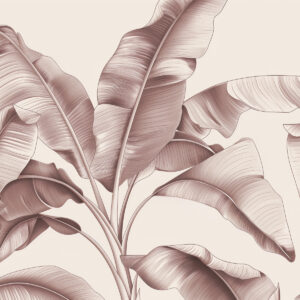 Carta da parati grandi foglie di banana disegnate in rosa pastello