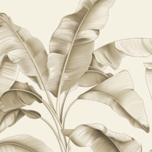 Carta da parati disegnate grandi foglie di banana in colore beige