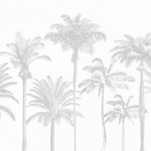Carta da parati Oasi di palme tropicali colore grigio minimale