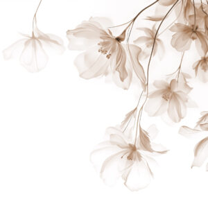 Carta da parati Fiori beige con petali traslucidi appesi a un ramo, beige e bianco, composizione d'arte moderna minimalista